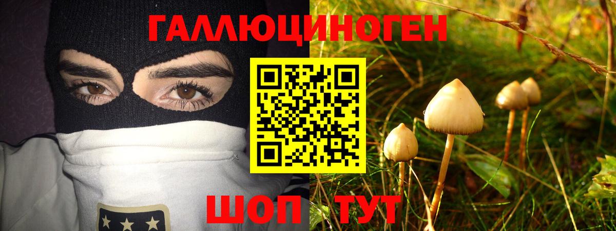 Псилоцибиновые грибы GOLDEN TEACHER Азнакаево
