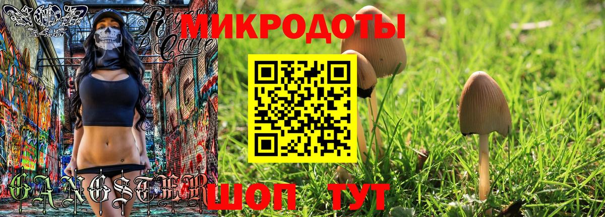 Галлюциногенные грибы Psilocybe  Галлюциногенные грибы прущие грибы  где найти наркотики  Вход с VPN  Азнакаево 